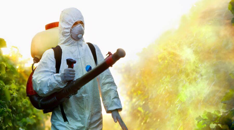 Professional pest control services services in Texas